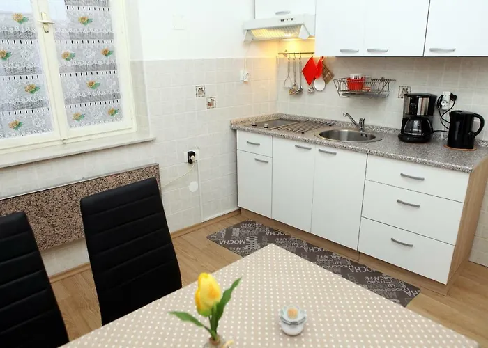 公寓 Apartma Grof 科佩尔